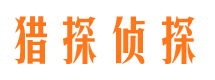 茄子河侦探